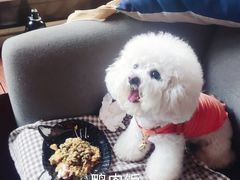 -the rug 飞毯 (朝阳公园店)