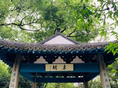 -西湖游船