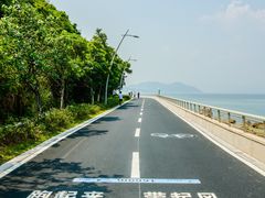 -杨梅坑
