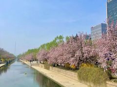 -海棠花溪(元大都城垣遗址公园)
