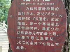 -洛阳白云山景区