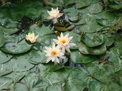 -艾溪湖湿地公园