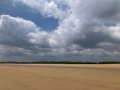 -日照海滨国家森林公园