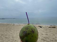 -玫瑰海岸文化旅游度假区