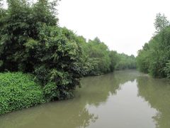 -大湾区中央湿地公园