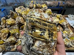 -半岛听涛蒸汽海鲜自助(K11店)