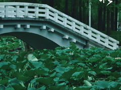-大宁公园