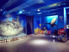 -船奇蒸汽海鲜·闽菜(八市海鲜总店)