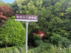 -十八棵（老龙井）御茶园(老龙井店)