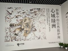 -中国湿地博物馆
