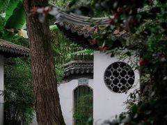 -秋霞圃