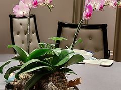 -狮王府淮扬菜(老门东店)