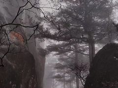 -黄山风景区