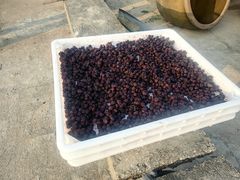 -苏州市吴中区光福窑上花果蜜饯厂