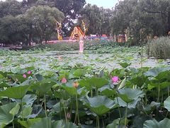 -北陵公园