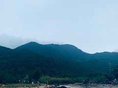 -杨梅坑