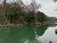 -花溪公园