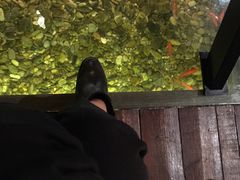 -颐和•海鲜砂锅粥•啫啫煲(奥林匹克广场店)