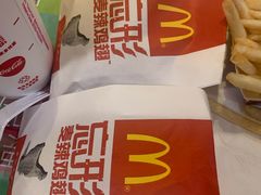 -麦当劳(新洲南路店)