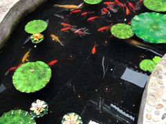 -映像威海·海鲜味道(市区店)