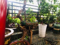 -又见炊烟私房菜(敬亭路店)