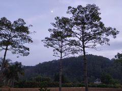 -南沙蒲洲花园