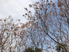 -厦门园林博览苑
