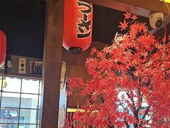 -白石的深夜食堂(济南万象城店)