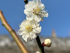 -北京明城墙遗址公园