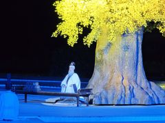 -鼎盛王朝康熙大典实景演出
