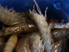 -澜悦港海鲜体验主题餐厅
