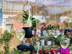 -秦美花卉(天朗·莱茵小城2期店)