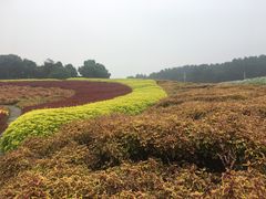 -保利石象湖景区