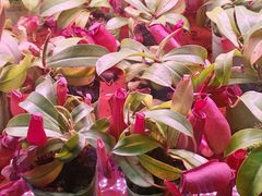 -Bioloark生物方舟生态礼品店