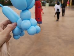 -七彩云南欢乐世界