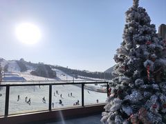 -东北亚滑雪场