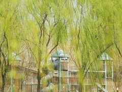 -圣露庄园·露营·烤肉·亲子