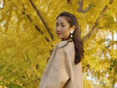 -三里屯东五街银杏大道