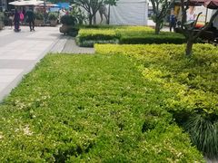 -证大大拇指广场(芳甸路店)