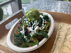 -油梨树AVOCADO TREE(望京店)