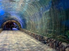 -华夏文旅海洋公园