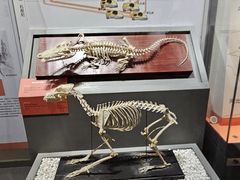 -国家自然博物馆