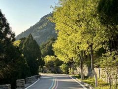 -佛慧山