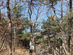 -北京西山国家森林公园