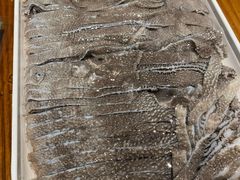 毛肚-竹叶涮肉坊(总店)