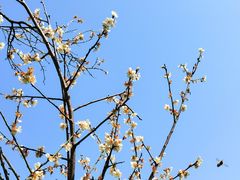 -荔枝公园(福田区)