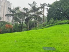 -龙头寺公园