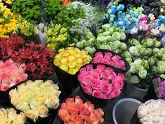 -双季花艺园艺市场(浦东店)