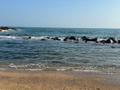 -广东惠东海龟国家级自然保护区