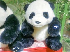 -轩客会(熊猫书店)